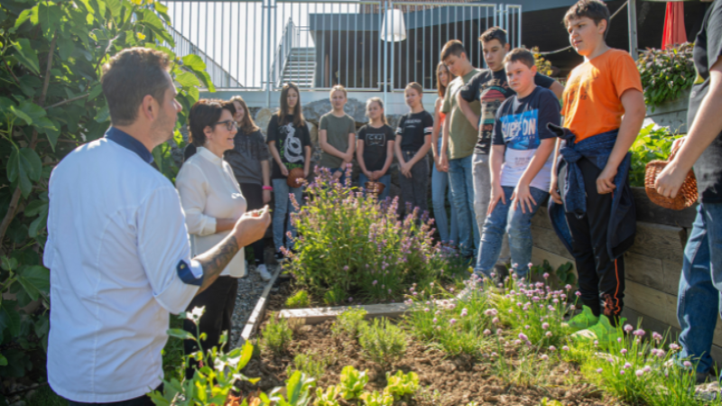 Köche begleiten junge Teilnehmende durch Kräutergarten-Workshop im Freien.