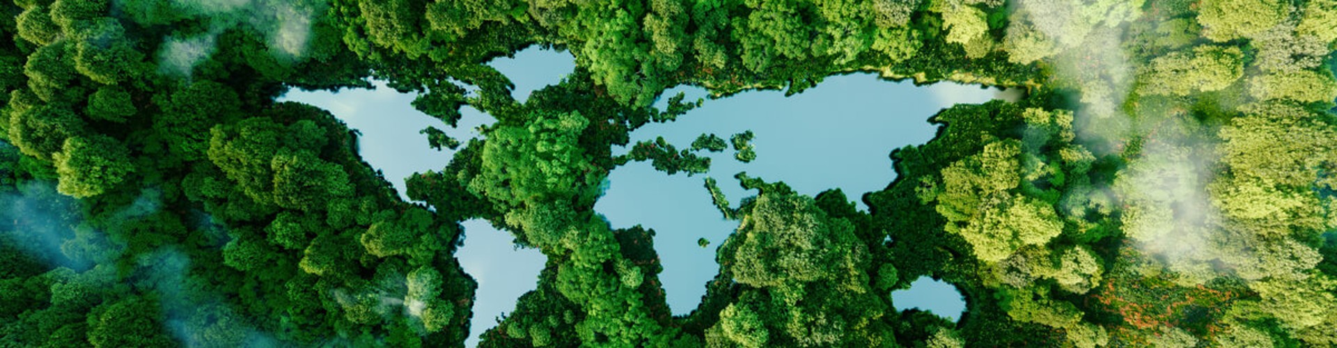 How do I reduce the carbon footprint in my restaurant’s supply chain? 