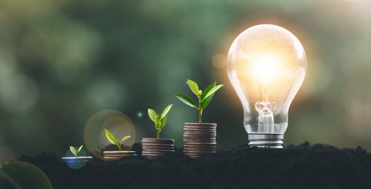 Small plants growing next to a glowing lightbulb, symbolizing sustainable growth.