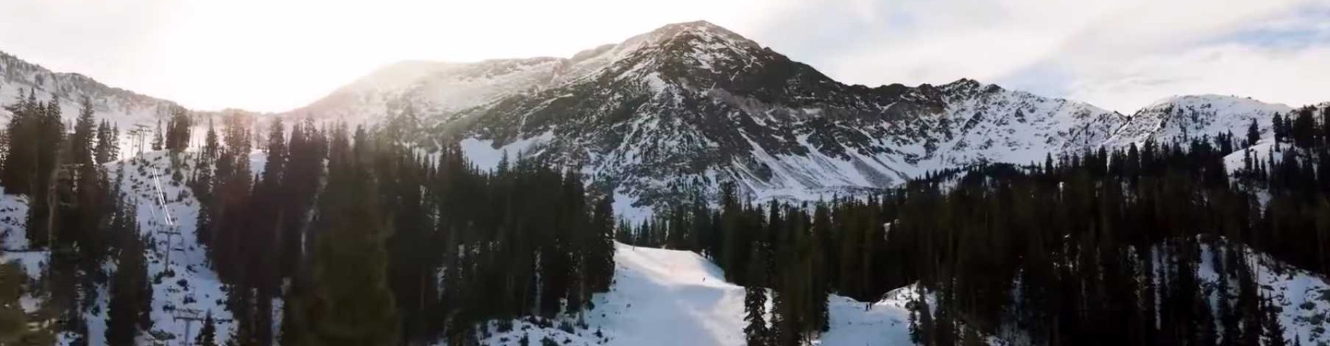Snowbird.