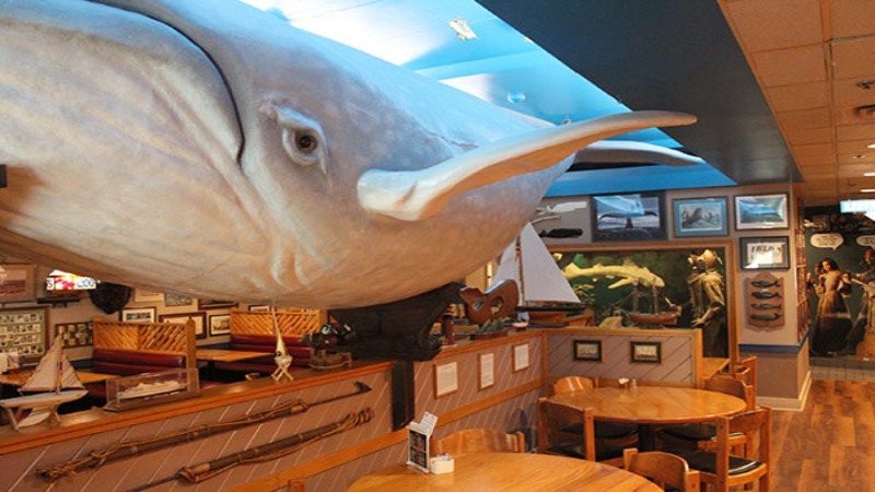 The interior of Cooper‘s Seafood House, featuring a large whale sculpture hanging from the ceiling, wooden tables, and marine-themed decorations on the walls.