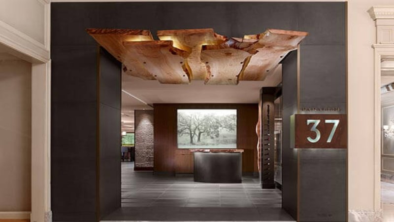 Entrance featuring an ornate bronze ceiling sculpture, complemented by a sleek modern design and a visible tree through the interior window.