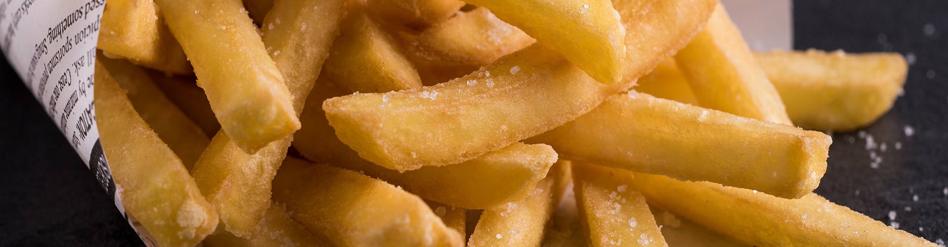 Friteuse professionnelle :