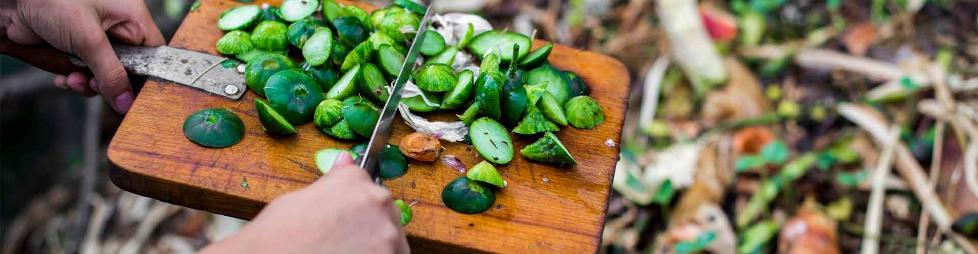 Giornata internazionale della consapevolezza delle perdite e degli sprechi alimentari.
