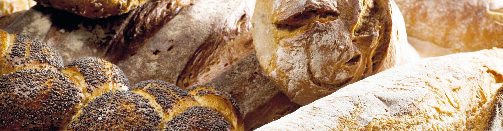 Primo piano di vari pani appena sfornati, tra cui panini e pagnotte, che mostrano la loro consistenza e le loro croste.