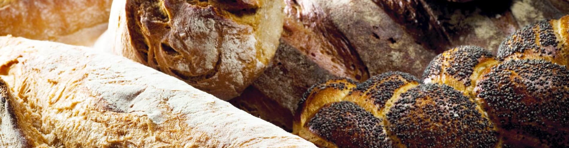 Close-up of a variety of freshly baked breads, including rolls and loaves, showcasing their textures and crusts.