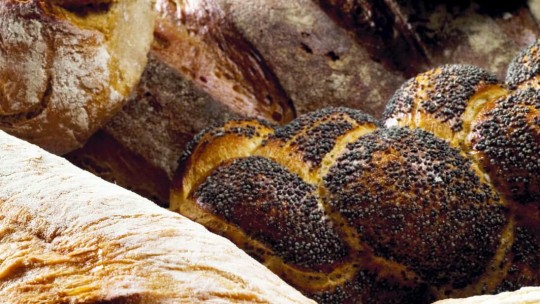 Primo piano di una varietà di pani appena sfornati, tra cui panini e pagnotte, che mostrano la loro consistenza e le loro croste.