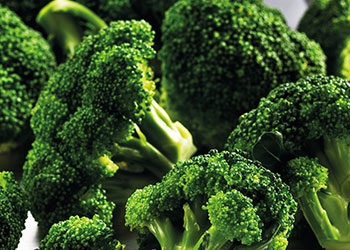 A close-up of fresh broccoli florets, showcasing their vibrant green color and texture.