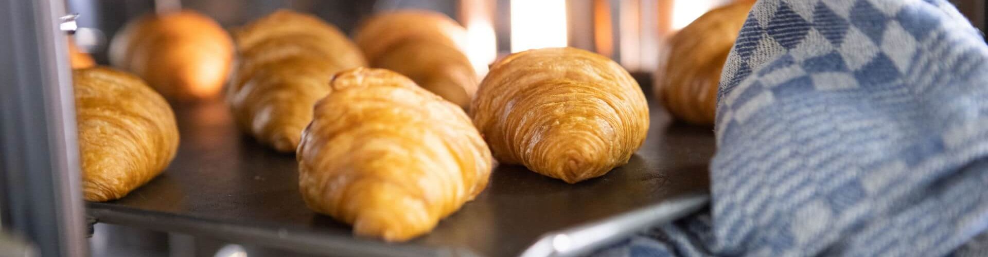 Primer plano de croissants recién horneados en una bandeja dentro de un horno, con un paño de cuadros azules cubriendo la bandeja.