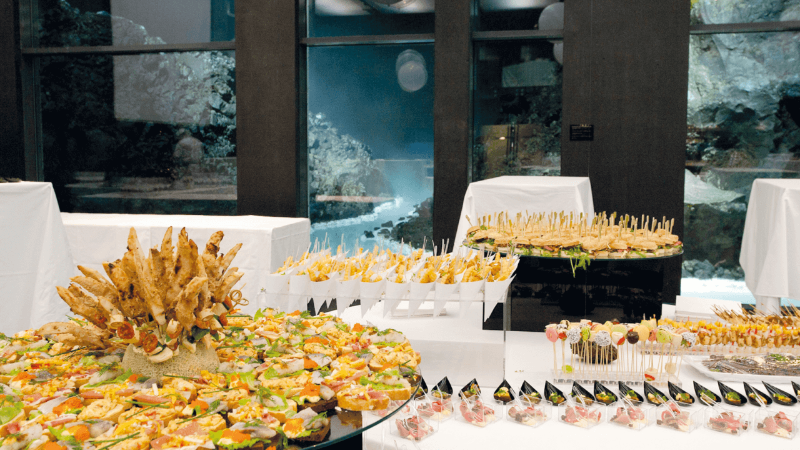 A beautifully arranged buffet with various appetizers on platters, including finger foods, skewers, and mini desserts, set in front of large windows.