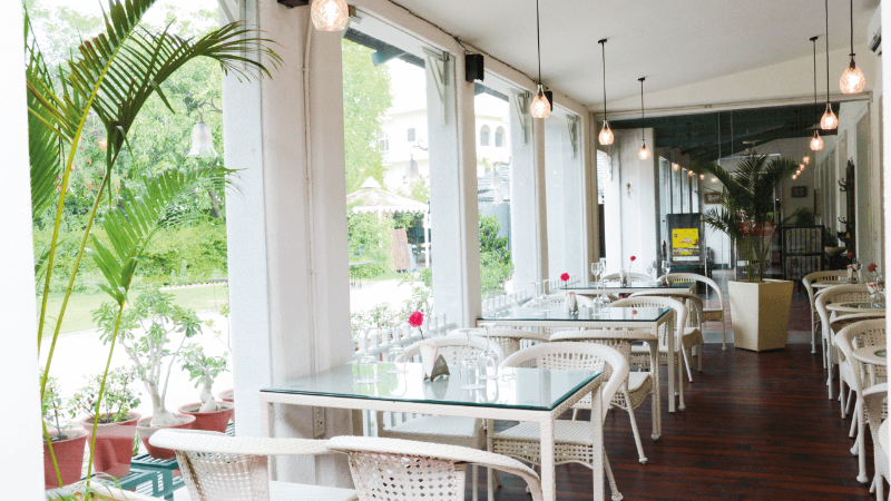 Interior view of a café featuring glass tables, wicker chairs, and plants, creating a cozy atmosphere with natural light.