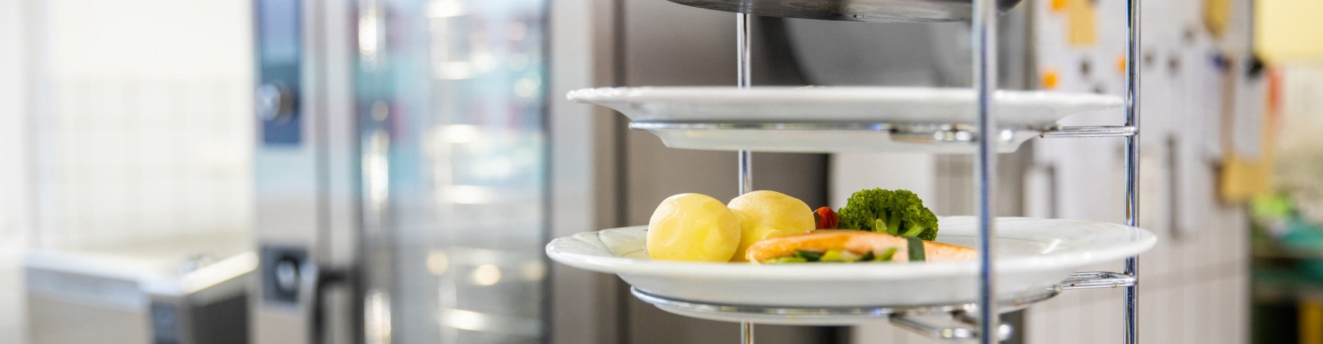 Pratos servidos com legumes e carne em frente ao forno combinado Rational iCombi Pro em uma cozinha profissional.